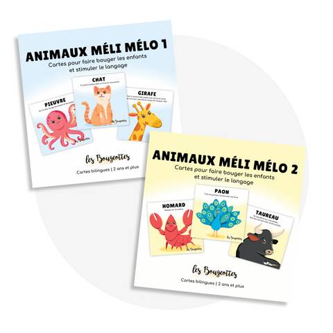 Ensemble Animaux Méli Mélo