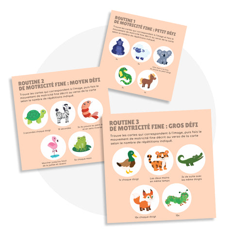 Cartes d'apprentissage des animaux méli mélo 3 pour travailler la motricité fine et globale incluant des routines d'exercices.