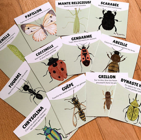 Cartes illustrées sur les insectes avec des mouvements associés pour développer la motricité globale.