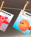 Cartes d’apprentissage bilingues sous l’océan (étoile de mer, diodon) dès 2 ans avec activité ludique sur corde.