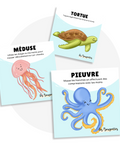 Cartes d’apprentissage actives sur le thème des animaux marins (méduse, tortue, pieuvre) pour pauses d'auto-massage dès 2 ans