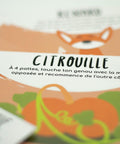 Cartes d’apprentissage actives été (citrouille, renard) dès 4 ans pour pauses actives favorisant la coordination.