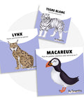 Cartes d’apprentissage bilingues animaux polaires (ltigre blanc, lynx, macareux) dès 2 ans pour pauses actives debout.