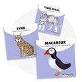 Cartes d’apprentissage bilingues animaux polaires (ltigre blanc, lynx, macareux) dès 2 ans pour pauses actives debout.