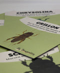 Cartes d’apprentissage actives thème insectes (grillon, chrysolina, scarabé) pour pauses actives et stimulation du langage dès 2 ans.