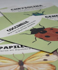 Cartes d'appentissage de la coccinelle avec un exerice décrit pour faire des pauses actives dès 2 ans. 