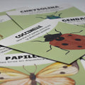 Cartes d'appentissage de la coccinelle avec un exerice décrit pour faire des pauses actives dès 2 ans. 