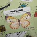 Cartes d’apprentissage actives thème insectes (papillon, fourmi, guêpe) pour pauses actives et stimulation du langage dès 2 ans.