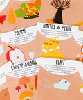 Cartes d’apprentissage actives été (pomme, champignons, feuilles) dès 4 ans pour pauses actives favorisant la coordination.