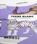 Cartes d’apprentissage bilingues animaux polaires (tigre blanc, loutre) dès 2ans pour pauses actives debout. 