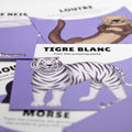 Cartes d’apprentissage bilingues animaux polaires (tigre blanc, loutre) dès 2ans pour pauses actives debout. 