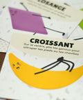 Cartes d’apprentissage bilingues formes (losange, croissant) dès 2 ans pour pauses actives. 