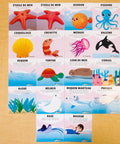 Cartes d’apprentissage sous l'océan pour initier les enfants aux bases de la natation et se familiariser avec l'environnement aquatique.