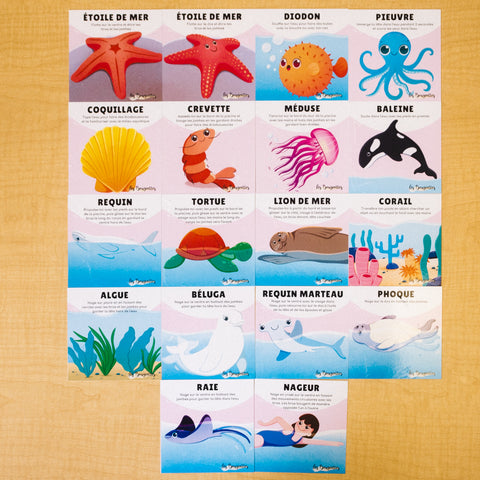 Cartes d’apprentissage sous l'océan pour initier les enfants aux bases de la natation et se familiariser avec l'environnement aquatique.
