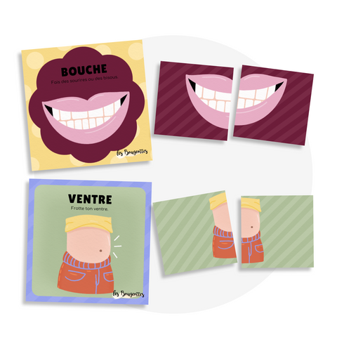 Cartes d'apprentissage - Corps humain