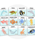 Collection de cartes d'apprentissage thème animaux marins en français avec des mouvements d'auto-massage (dauphin, tortue, requin, hippocampe, pieuvre, méduse)