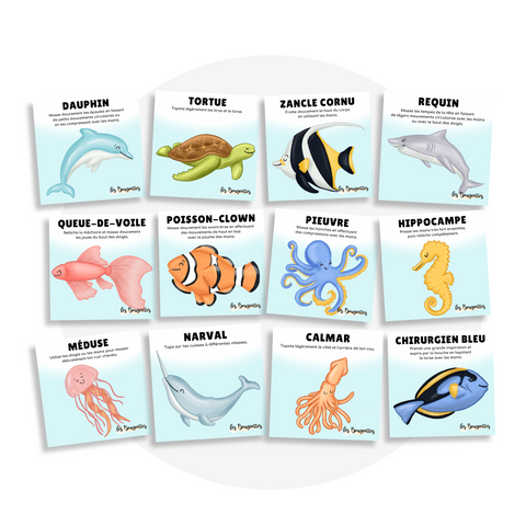 Collection de cartes d'apprentissage thème animaux marins en français avec des mouvements d'auto-massage (dauphin, tortue, requin, hippocampe, pieuvre, méduse)