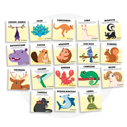 Collection de cartes d'apprentissage bilingues thème animaux mélimélo 2 avec des mouvements pour travailler la motricité globale (écureuil, moufette, kangourou)