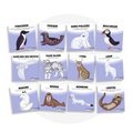 Collection de cartes d'apprentissage bilingues thème animaux polaires avec des mouvements pour bouger debout (ours polaire, loup, lynx, morse, phoque)