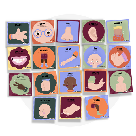 Cartes d'apprentissage - Corps humain