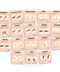Collection de cartes d'apprentissage thème animaux mélimélo3 en français avec des mouvements de motricité fine (pichenotte, piano, pression, anneaux, pliage, pluie, ciseaux)
