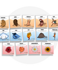 Collection de cartes d'apprentissage sur les sens, les éléments de la terre et des techniques de respiration en français (toucher, ouïe, odorat, goût, vue, air, eau, feu, terre)