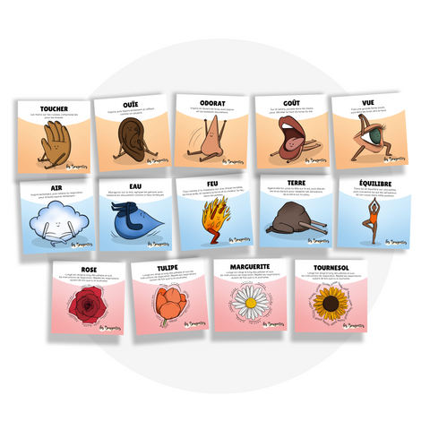 Collection de cartes d'apprentissage sur les sens, les éléments de la terre et des techniques de respiration en français (toucher, ouïe, odorat, goût, vue, air, eau, feu, terre)