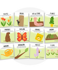 Collection de cartes d'apprentissage bilingues thème printemps avec des mouvements pour bouger assis (graines, tulipes, marmotte, fleurs)