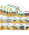 Collection de cartes d'apprentissage thème animaux de la savana avec des mouvements pour relaxer (crocodile, léopard, zèbre, gazelle)