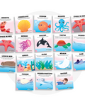 Collection de cartes d'apprentissage thème sous l'océan avec des mouvements pour apprendre nager dès 2 ans (crevette, diodon, baleine, requin, raie)