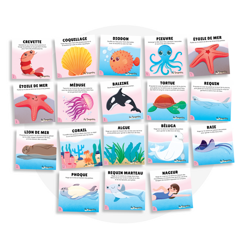 Collection de cartes d'apprentissage thème sous l'océan avec des mouvements pour apprendre nager dès 2 ans (crevette, diodon, baleine, requin, raie)