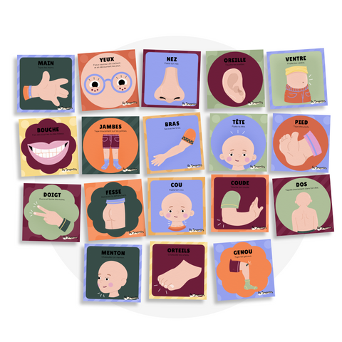 Cartes d'apprentissage - Corps humain