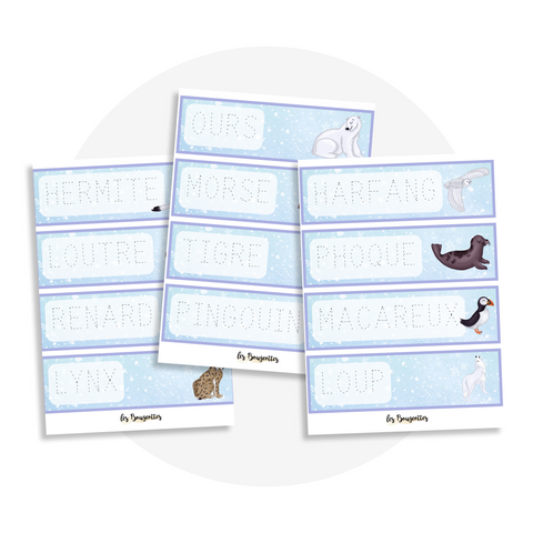 Activité à imprimer pour enfant 4 ans et plus pour aider à développer les compétences préalables à l’écriture, la motricité fine et la coordination œil-mainsur le thème des animaux polaires (phoque, macareux, harfang, loup, ours)
