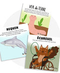 Cartes d'apprentissage actives sur le thème du printemps, des animaux de la forêts et des animaux marins pour faire des pauses actives en restant en position assise.