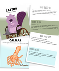 Cartes d'apprentissage actives sur les aniamux de la forêt pour faire des pauses actives en restant en position assise avec des exercies du haut du corps et d'auto-massage.