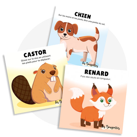 Ensemble Animaux Méli Mélo