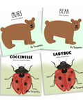 Cartes d'apprentissage actives de l'ours et de la coccinelle en français et en anglais.