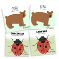 Cartes d'apprentissage actives de l'ours et de la coccinelle en français et en anglais.