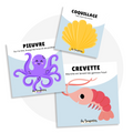 Cartes d'apprentissage actives du monde marin avec illustrations de pieuvre, coquillage et crevette, proposant des mouvements ludiques pour enfants.