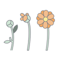Pictogramme fleur en floraison en 3 étapes, illustrant le développement du plein potentiel des jeunes.