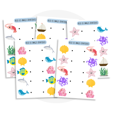 Relier les images du monde marin