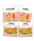 Cartes d'apprentissage bilingues thème automne pour faire bouger les jeunes (champignons, mushrooms, citrouille, pumpkin)