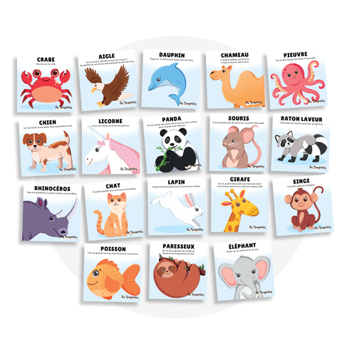 Collection de cartes d'apprentissage bilingues animaux mélimélo 1 avec des mouvements pour travailler la motricité globale