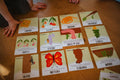 Cartes d'apprentissage - Printemps - Les Bougeottes