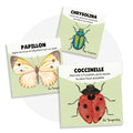 Cartes d’apprentissage bilingues insectes (chrysolina, papillon, coccinelle) dès 2 ans pour pauses actives.