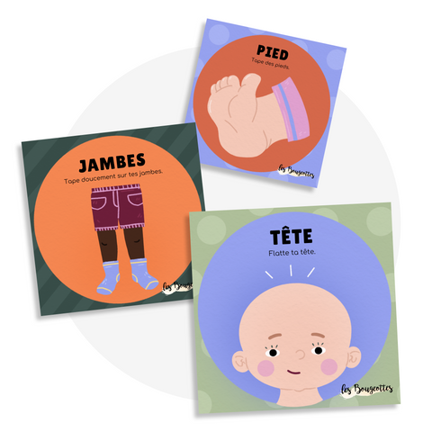 Cartes d'apprentissage - Corps humain