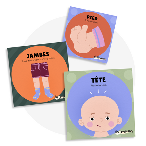 Cartes d'apprentissage - Corps humain