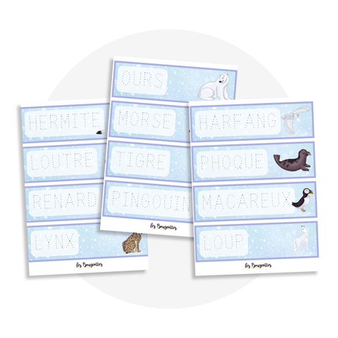 Écrire avec les animaux polaires - Les Bougeottes