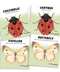 Cartes d'apprentissage bilingues thème insectes pour faire bouger les jeunes (coccinelle-ladybug, papillon-butterfly)