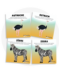 Cartes d'apprentissage bilingues thème relaxation dans la savane pour faire bouger les jeunes (autruche, ostrich, zèbre, zebra)